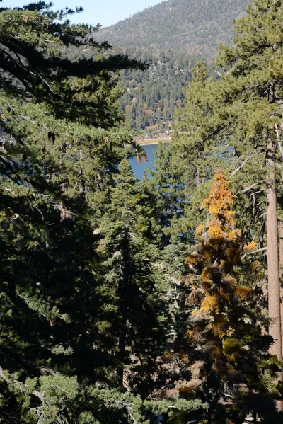 DSC_5094 (Large).JPG